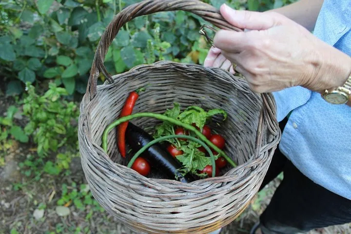 Private Farmhouse Class with Sorrento Pickup